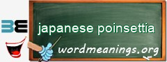 WordMeaning blackboard for japanese poinsettia